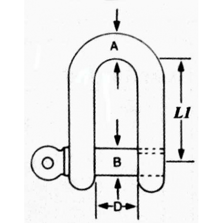 D-schackel rostfritt stål A2 AISI304 - 3