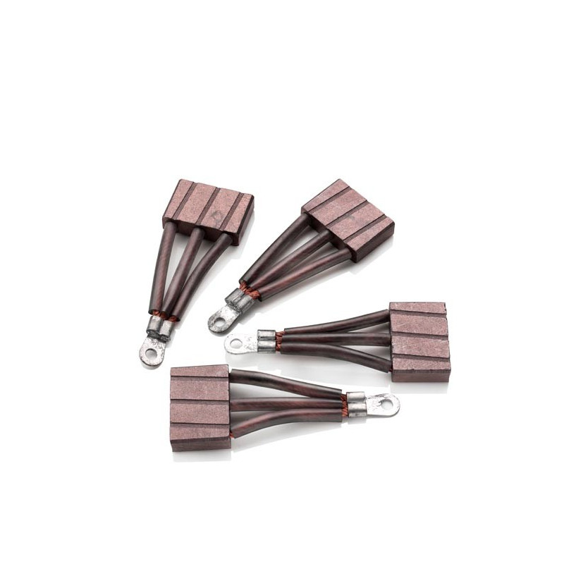 Set: carbonbrushes (4x) 12/24V BOW80/95