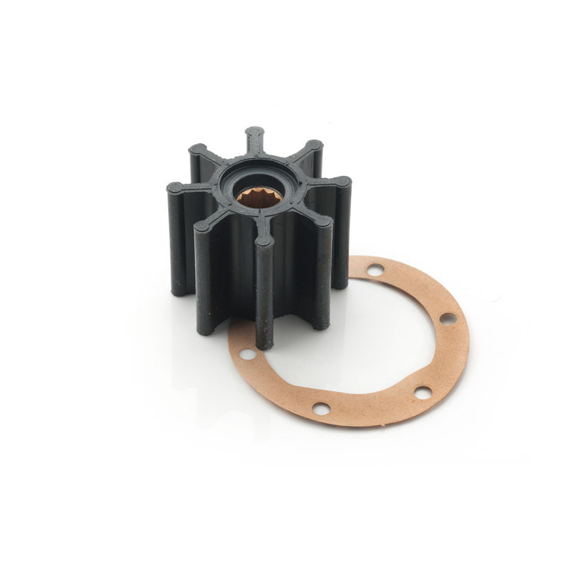 Impeller + gasket P4.25