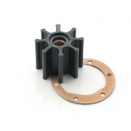 Impeller + gasket P4.25