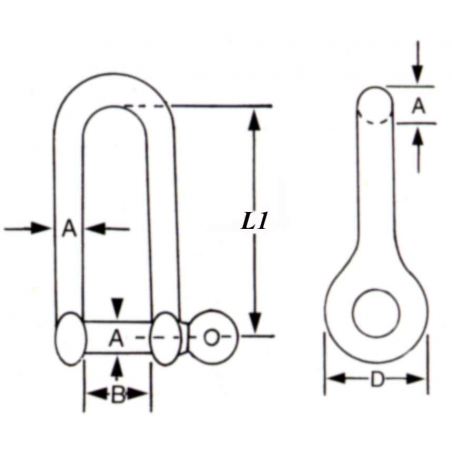 Lång D-schackel i rostfritt stål med säkrad bult AISI316 - 2