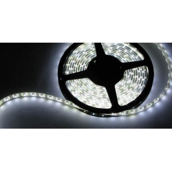 LED Strips - 1